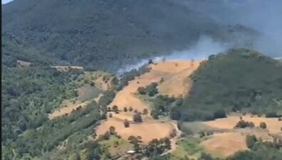 Bursa'nın Gemlik ilçesinde Şükriye ile Feyziye mahalleleri arasında  çıkan yangın,