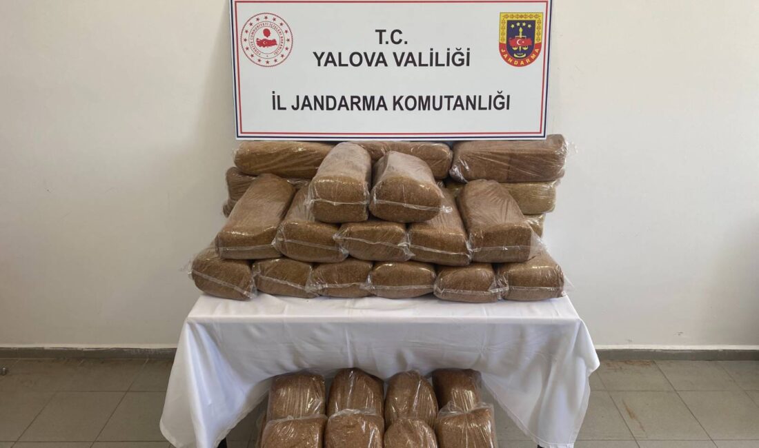 Yalova İl Jandarma Komutanlığı ekipleri tarafından kaçakçılıkla mücadele kapsamında düzenlenen
