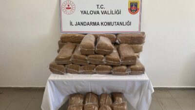 Yalova İl Jandarma Komutanlığı ekipleri tarafından kaçakçılıkla mücadele kapsamında düzenlenen