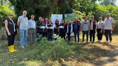 Bursa'da tarımsal üretime büyük zarar veren istilacı tür Kahverengi Kokarca