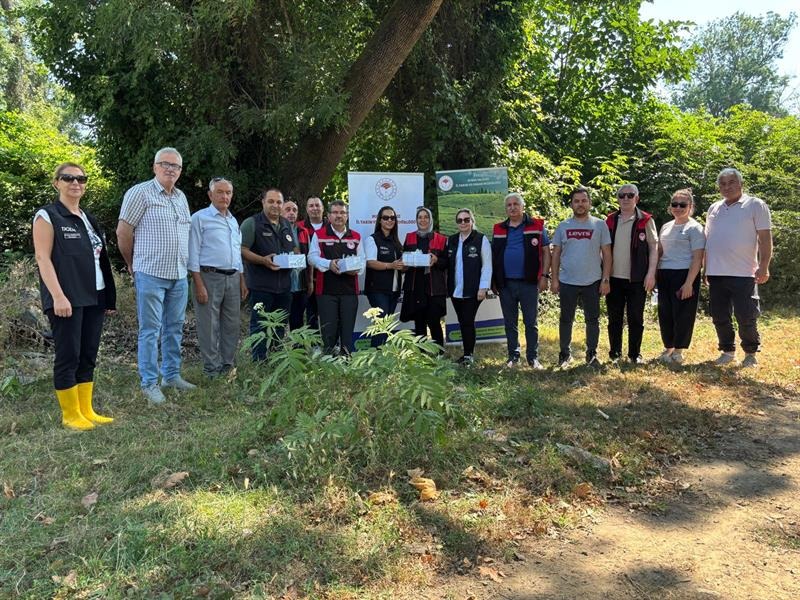 Bursa'da tarımsal üretime büyük zarar veren istilacı tür Kahverengi Kokarca