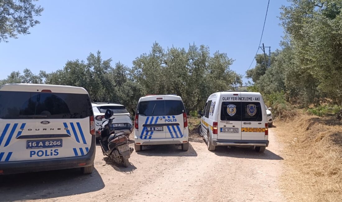 Bursa'nın Orhangazi ilçesinde meydana gelen olayda, zeytin tarlası içinde hareketsiz