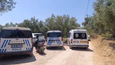 Bursa'nın Orhangazi ilçesinde meydana gelen olayda, zeytin tarlası içinde hareketsiz