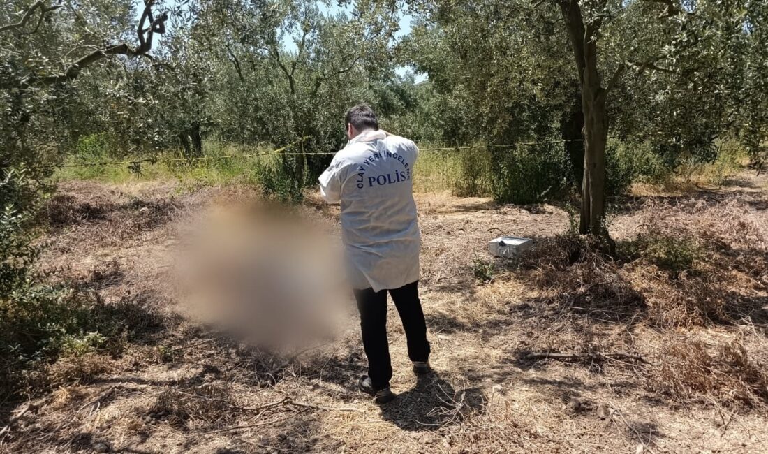 Bursa'nın Orhangazi ilçesinde zeytin tarlası içinde hayatını kaybeden gencin kimliği