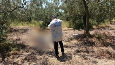 Bursa'nın Orhangazi ilçesinde zeytin tarlası içinde hayatını kaybeden gencin kimliği