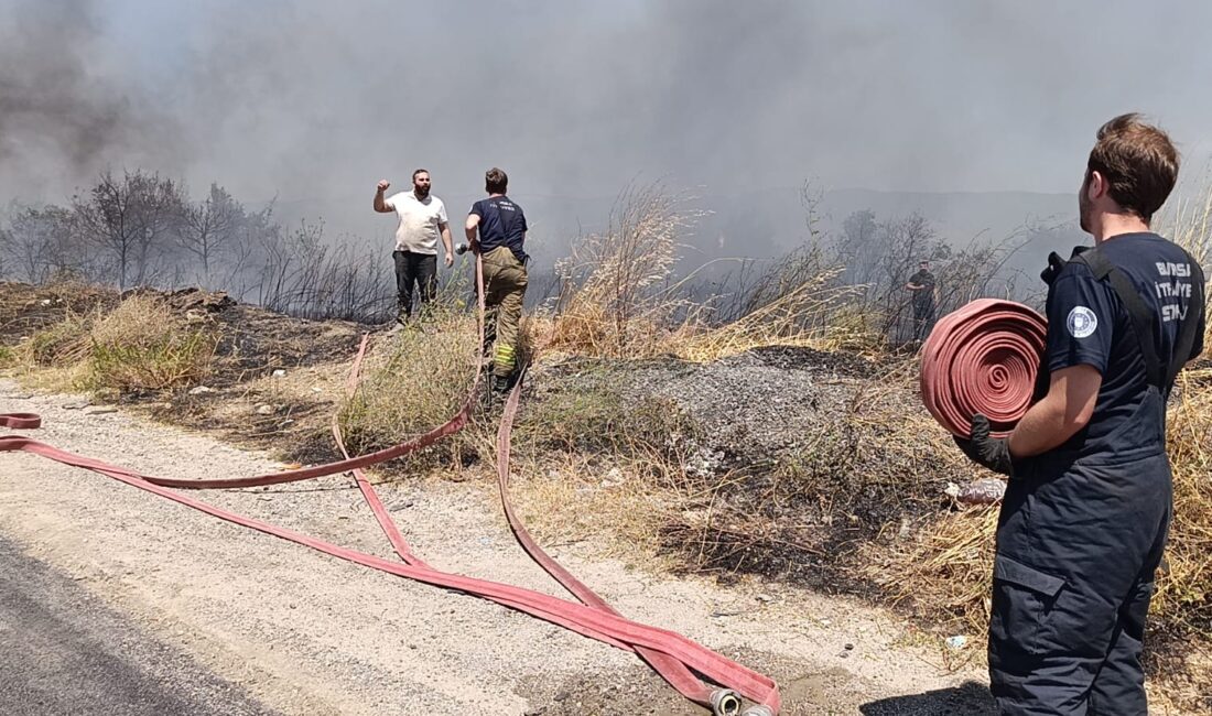 Bursa'nın Orhangazi ilçesinde Yalova yolu üzerinde otluk alanda büyük bir