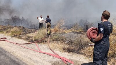 Bursa'nın Orhangazi ilçesinde Yalova yolu üzerinde otluk alanda büyük bir