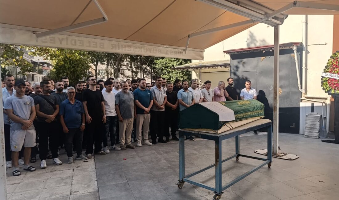 Bursa'nın Orhangazi ilçesinde zeytin tarlasında hayatını kaybeden 26 yaşındaki Çetin