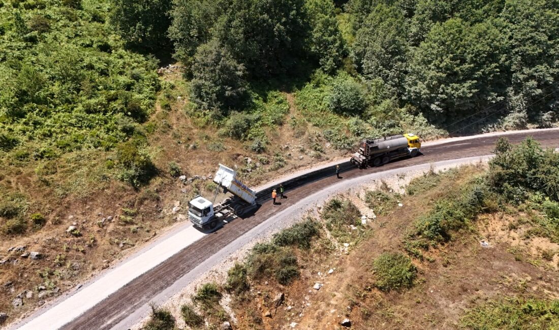 Bursa'nın Orhangazi ilçesine bağlı Hamzalı Mahallesi ile Yalova'nın Güneyköyü'nü birbirine