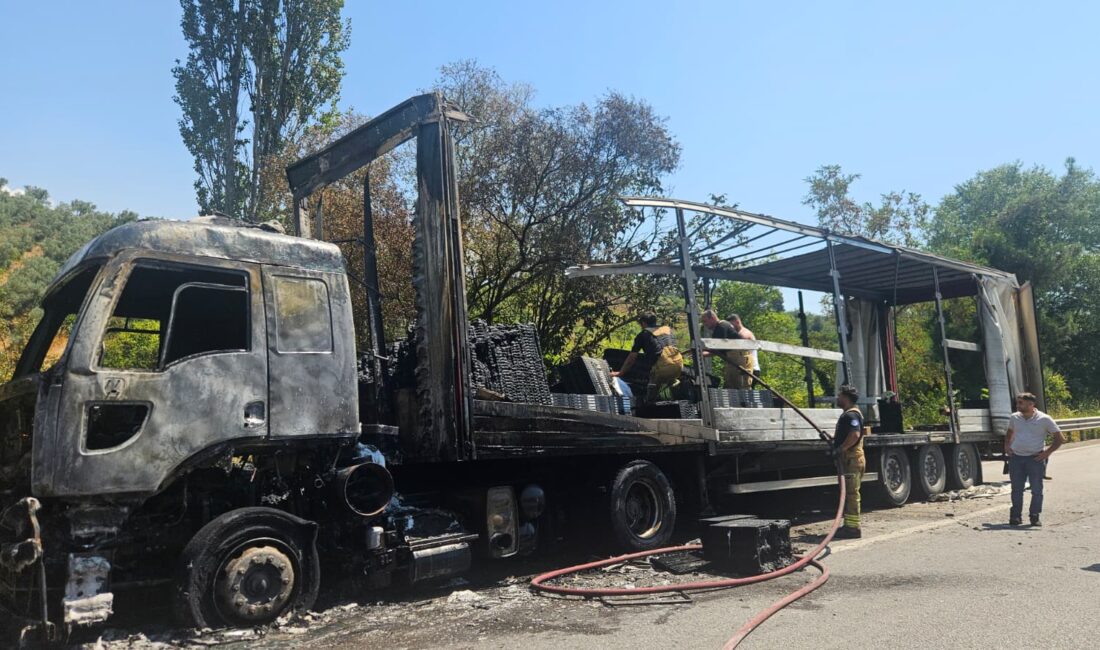 Bursa'da Yalova yolu üzeri Gemlik yakınlarında meydana gelen olayda, plastik