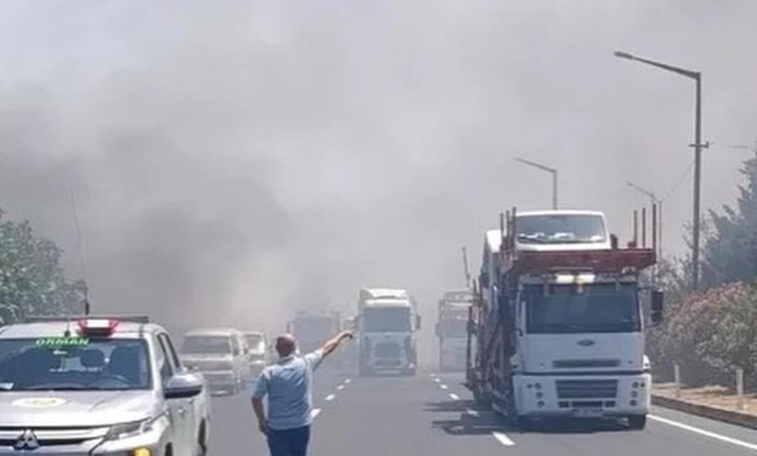 Bursa Orman Bölge Müdürlüğü, kent genelinde hava sıcaklıklarının artması, kuvvetli