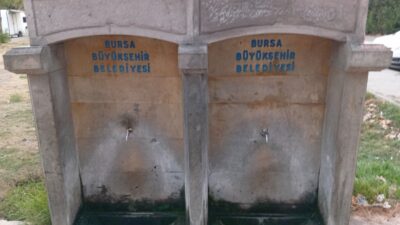 Bursa'nın Orhangazi ilçesinde, İznik Gölü sahilindeki çamlık mesire alanında bulunan