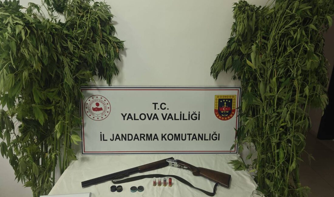 Yalova İl Jandarma Komutanlığı ekiplerinin uyuşturucuyla mücadele kapsamında yürüttüğü çalışmalar