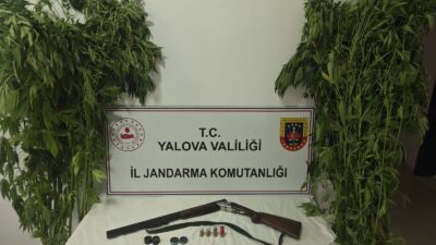 Yalova İl Jandarma Komutanlığı ekiplerinin uyuşturucuyla mücadele kapsamında yürüttüğü çalışmalar