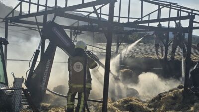 Bursa'nın Orhangazi ilçesine bağlı kırsal Fındıklı Mahallesi'nde bulunan bir samanlıkta