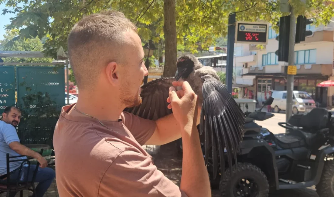 Bursa'nın Orhangazi ilçesine bağlı kırsal Narlıca Mahallesi'nde yaşayan 28 yaşındaki