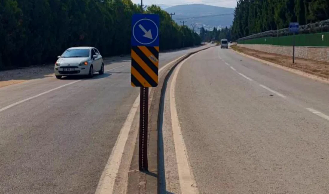 Bursa'nın Orhangazi ilçesinde İznik Gölü yolu üzerinde eğilen ve sürücülere