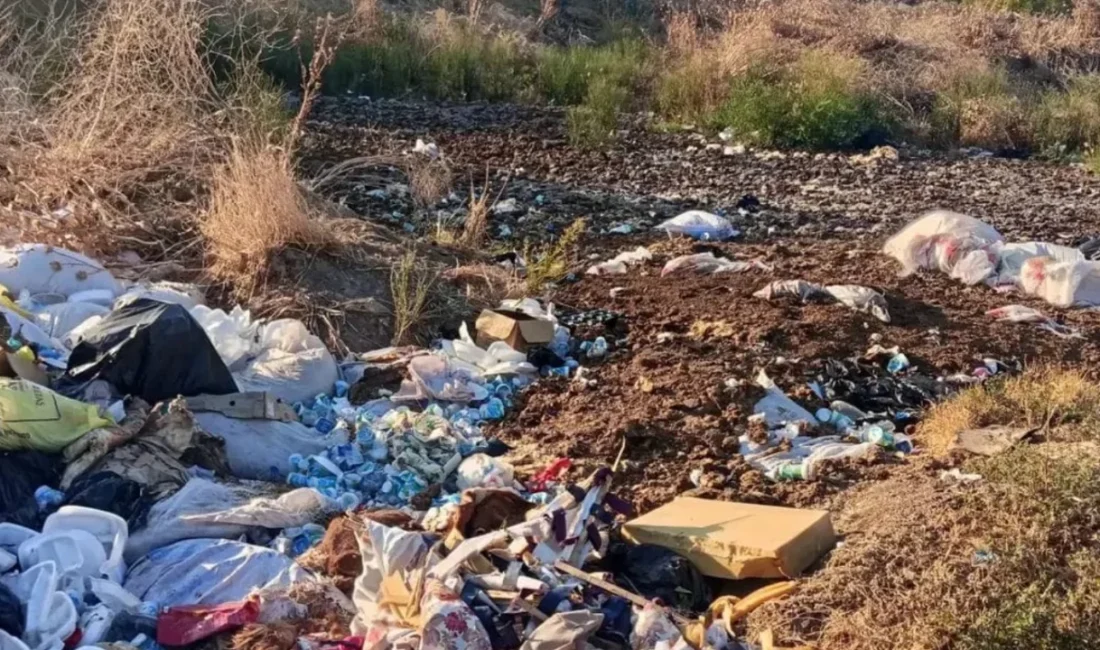 Bursa'da Gemlik Belediyesi'nin Kurban Bayramı öncesinde kurduğu hayvan pazarının, bayramın