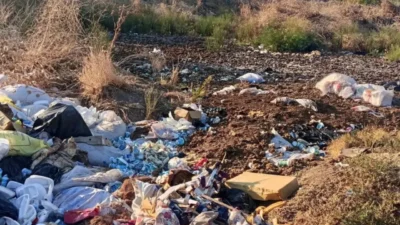 Bursa'da Gemlik Belediyesi'nin Kurban Bayramı öncesinde kurduğu hayvan pazarının, bayramın
