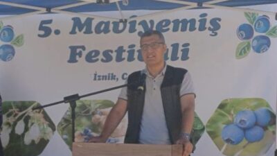Bursa'nın İznik ilçesine bağlı kırsal Candarlı Mahallesi'nde bu yıl 5'incisi