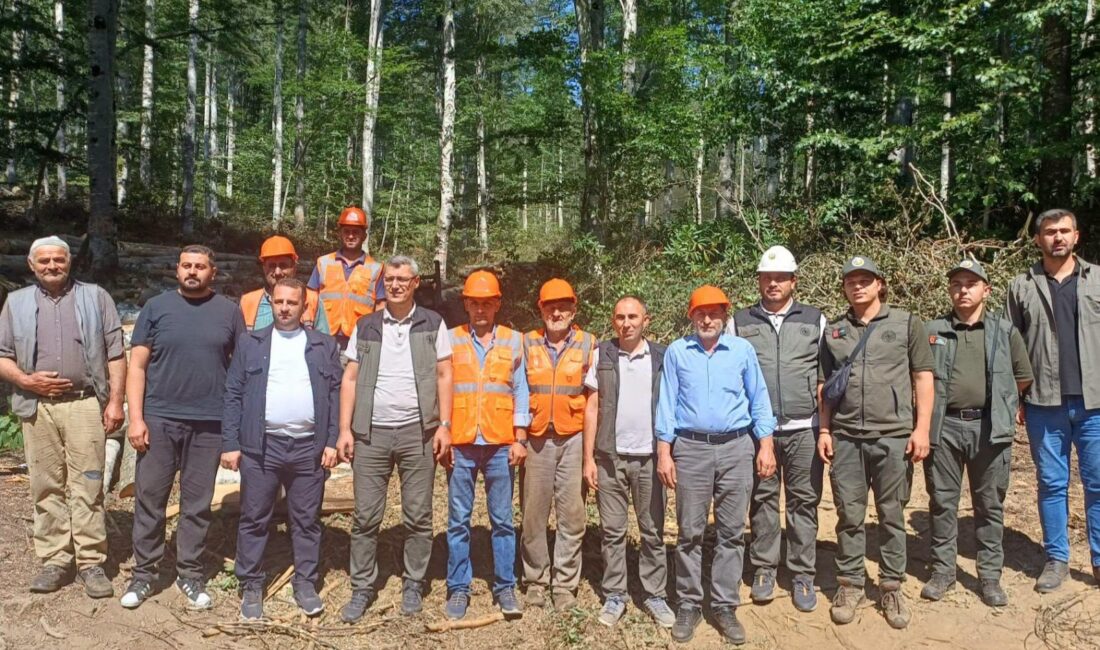 Bursa Orman Bölge Müdürlüğü, ormanlarda sürdürülen üretim ve silvikültür çalışmalarını
