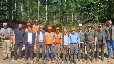 Bursa Orman Bölge Müdürlüğü, ormanlarda sürdürülen üretim ve silvikültür çalışmalarını