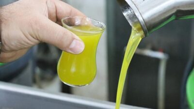 Avrupa genelinde etkisini artıran aşırı sıcaklar, kuraklık ve orman yangınları