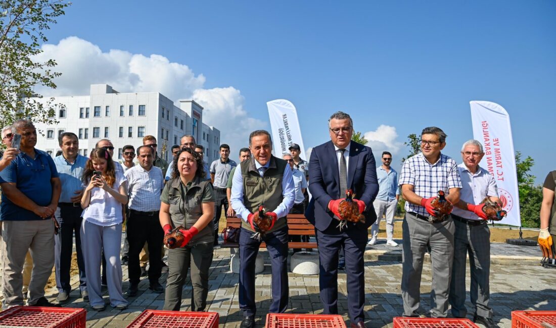Yalova’da tarımsal üretimi tehdit eden kahverengi kokarca ile keneye karşı