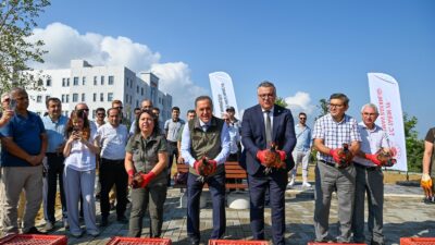 Yalova’da tarımsal üretimi tehdit eden kahverengi kokarca ile keneye karşı