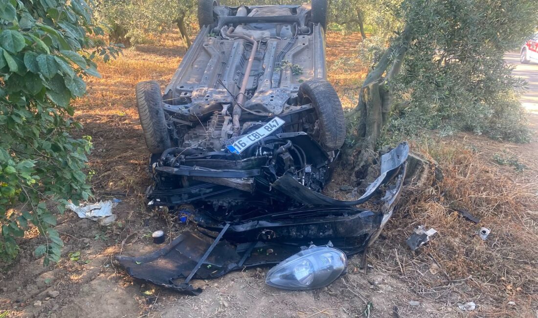 Bursa'nın Orhangazi ilçesinde sürücünün kontrolünden çıkan otomobil savrularak zeytin tarlasına