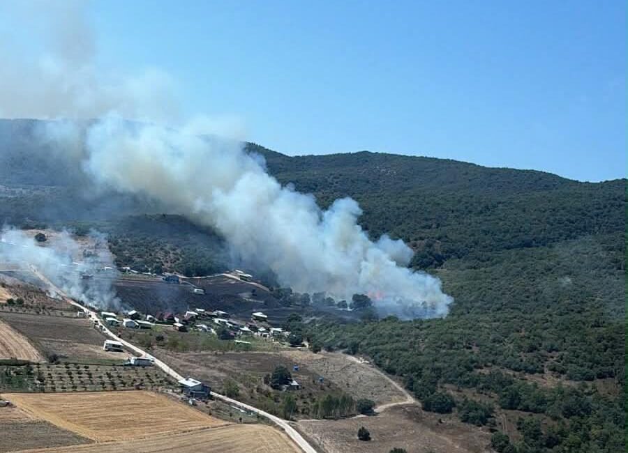 Bursa’nın Yenişehir ilçesine bağlı Fethiye Mahallesi’nde çıkan yangın, ekiplerin yaklaşık