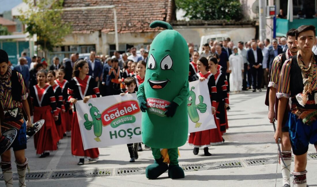 Orhangazi’nin dünyaca tanınan lezzeti Gedelek turşusu için geleneksel hale gelen