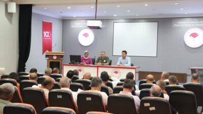 Bursa’da fidan ve süs bitkisi üreticilerinin mevcut durumu, üretim miktarları