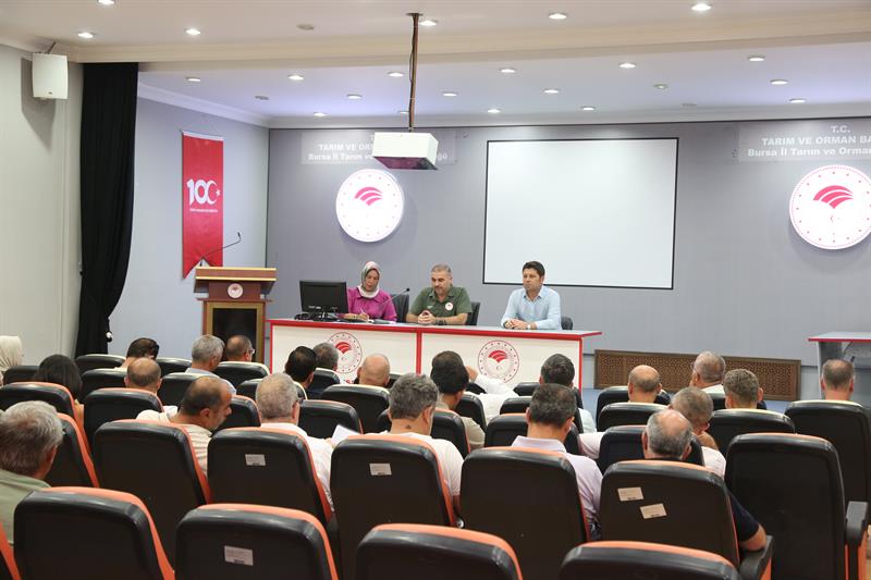 Bursa’da fidan ve süs bitkisi üreticilerinin mevcut durumu, üretim miktarları