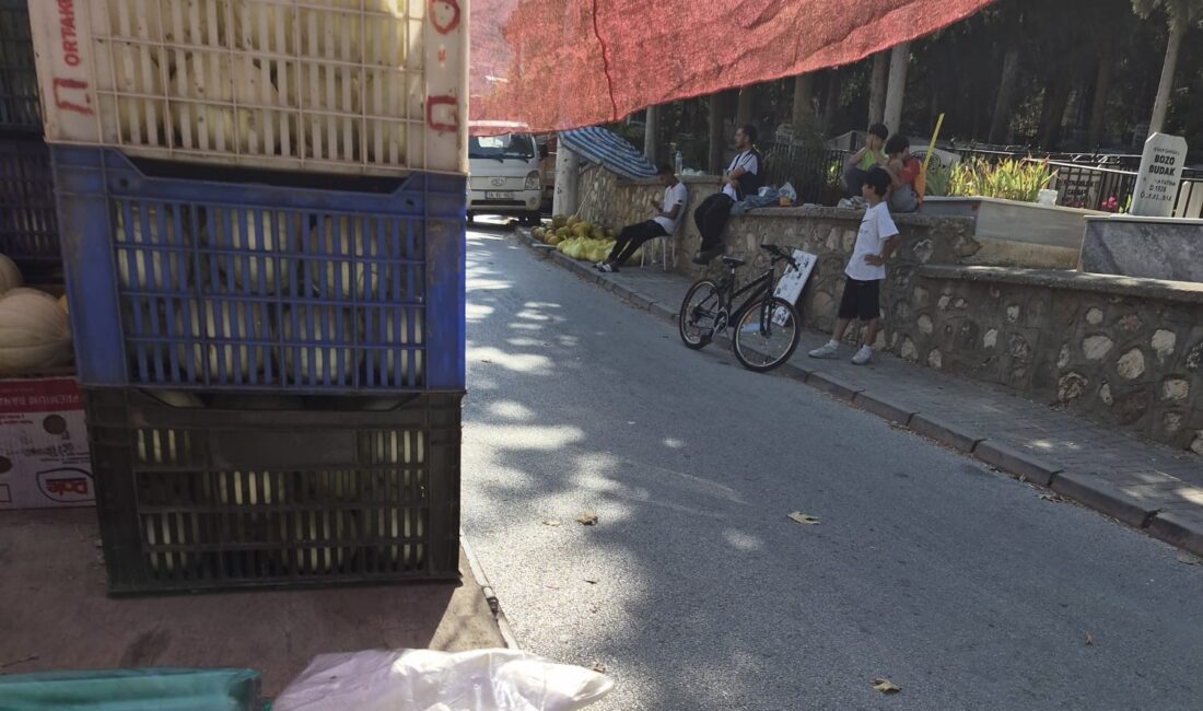 Bursa’nın Orhangazi ilçesinde son dönemde sayıları artan seyyar gıda satıcıları,