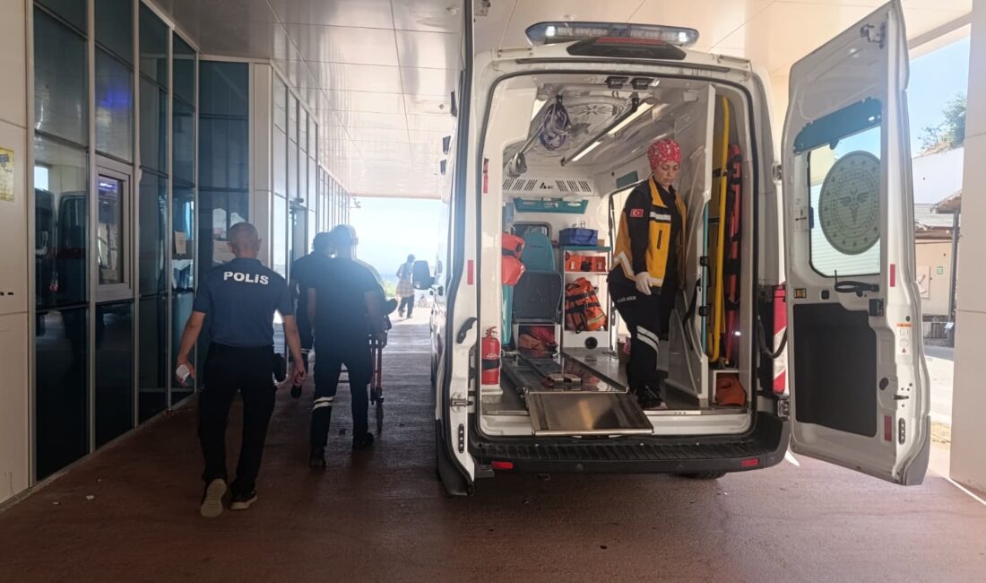 Bursa'nın Orhangazi ilçesinde Yalova-Bursa karayolu üzerinde meydana gelen trafik kazasında,