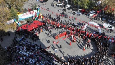 Gemlik ve Orhangazi’nin bereketli zeytin kültürü, “İki İlçe, Tek Miras”