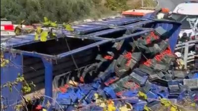 Bursa’nın Yenişehir-İznik yolu üzerinde iddiaya göre freni patlayan domates yüklü
