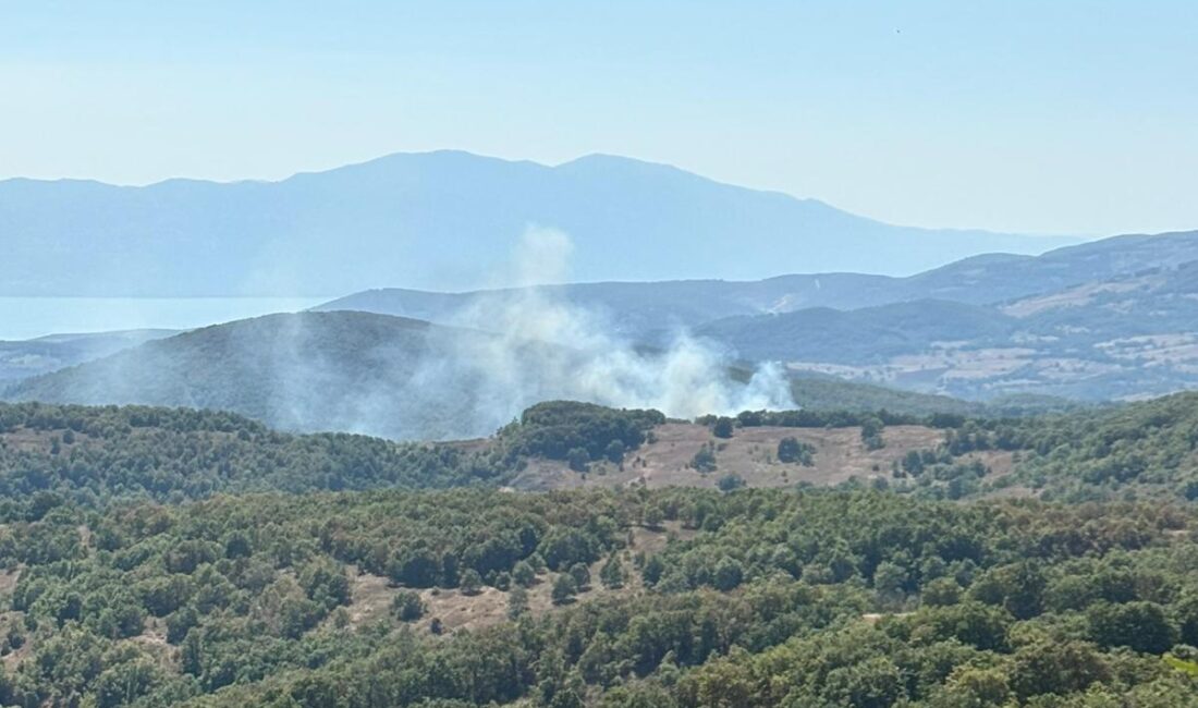 Bursa’nın İznik ilçesinde ormanlık alanda yangın çıktı. Rüzgarın etkisiyle büyümeye