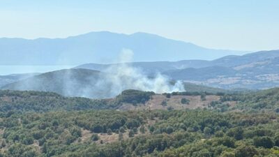 Bursa’nın İznik ilçesinde ormanlık alanda yangın çıktı. Rüzgarın etkisiyle büyümeye