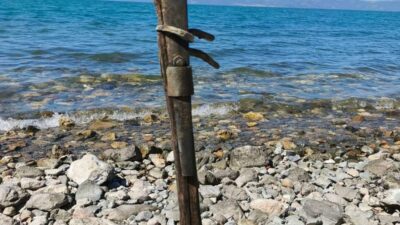 Bursa’nın İznik ilçesinde, İznik Gölü’nün Göllüce Mahallesi sahilinde vatandaşlar tarafından