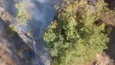 Bursa’nın Kestel ilçesi Kayacık Mahallesi’nde bahçe temizliği sırasında çıktığı belirtilen