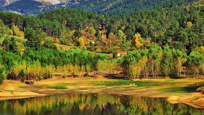 Bursa Orman Bölge Müdürlüğü, bazı sosyal medya platformları ile basın-yayın