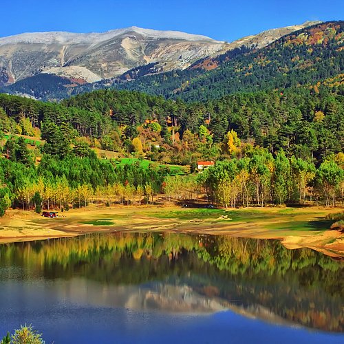 Bursa Orman Bölge Müdürlüğü, bazı sosyal medya platformları ile basın-yayın