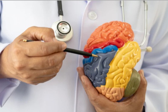 Yaşlanmanın Doğal Sonucu Değil! Alzheimer’ın Erken İşaretleri Gözden Kaçıyor… 21 Eylül Dünya Alzheimer Günü kapsamında Alzheimer’ın erken işaretleri hakkında