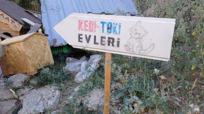 Bursa'nın Gemlik ilçesinde bir vatandaş, sokakta yaşayan kediler için kendi