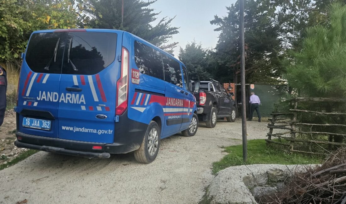 Bursa’nın Orhangazi ilçesine bağlı Ortaköy Mahallesi’nde bir villanın bahçesindeki 30