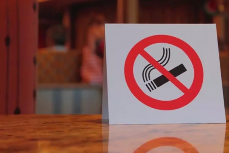 Türkiye'de tütün kullanımı ile mücadele, takviye gıdaların denetimi ve obezite