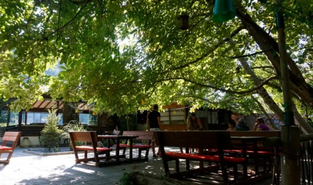 Bursa'nın Nilüfer ilçesinde doğa konseptli restoran ve organizasyon hizmeti veren
