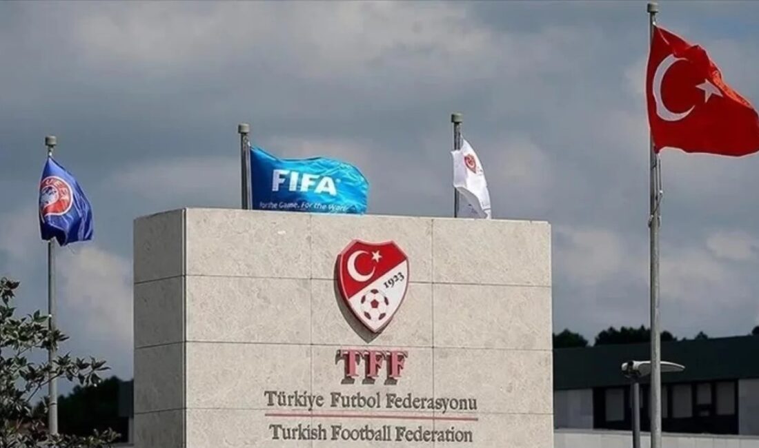 TFF Kulüp Lisans Kurulu, Ulusal Kulüp Lisans Sistemi kapsamında yaptığı